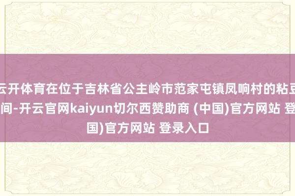 云开体育在位于吉林省公主岭市范家屯镇凤响村的粘豆包厂车间-开云官网kaiyun切尔西赞助商 (中国)官方网站 登录入口