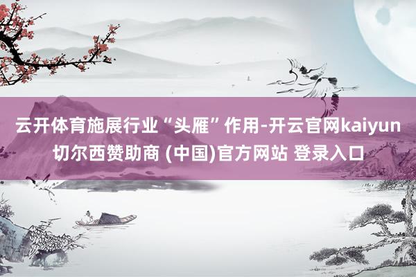 云开体育施展行业“头雁”作用-开云官网kaiyun切尔西赞助商 (中国)官方网站 登录入口