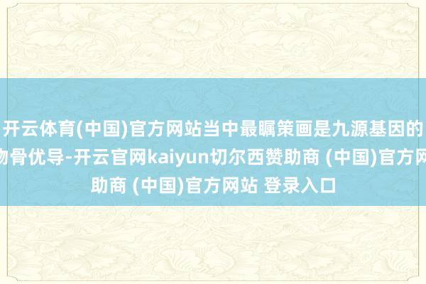开云体育(中国)官方网站当中最瞩策画是九源基因的药械组合产物骨优导-开云官网kaiyun切尔西赞助商 (中国)官方网站 登录入口