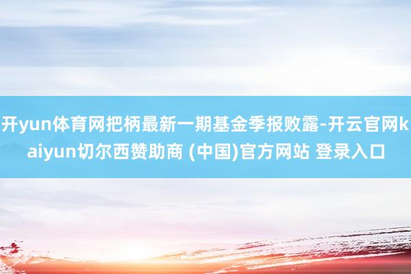 开yun体育网把柄最新一期基金季报败露-开云官网kaiyun切尔西赞助商 (中国)官方网站 登录入口