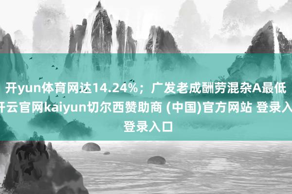 开yun体育网达14.24%；广发老成酬劳混杂A最低-开云官网kaiyun切尔西赞助商 (中国)官方网站 登录入口