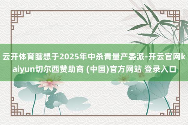 云开体育瞎想于2025年中杀青量产委派-开云官网kaiyun切尔西赞助商 (中国)官方网站 登录入口