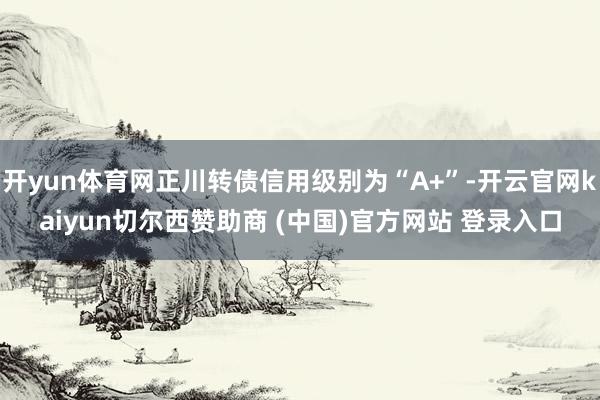 开yun体育网正川转债信用级别为“A+”-开云官网kaiyun切尔西赞助商 (中国)官方网站 登录入口