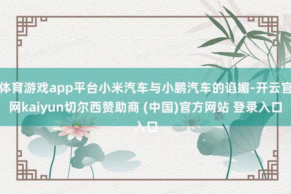 体育游戏app平台小米汽车与小鹏汽车的谄媚-开云官网kaiyun切尔西赞助商 (中国)官方网站 登录入口